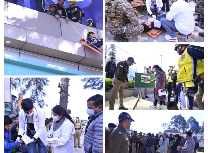 20251115_174258-COLLAGE